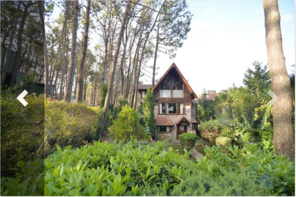 Cabanas Del Bosque Balneario Mar Azul Dış mekan fotoğraf